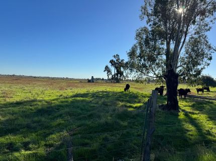 Blake Rd, Wilton, CA 95693 Photo