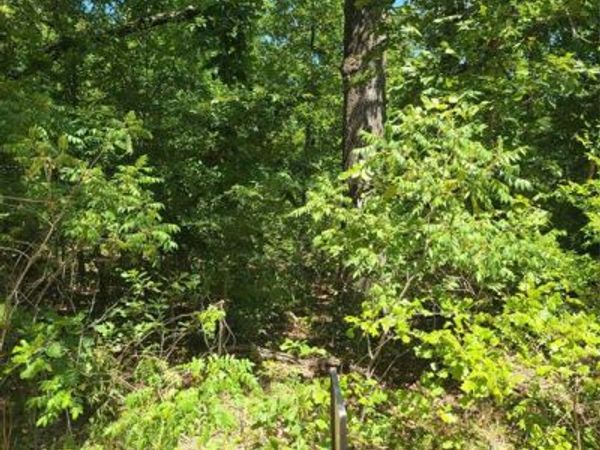 Jeffery Drive, Cookson, OK 74427