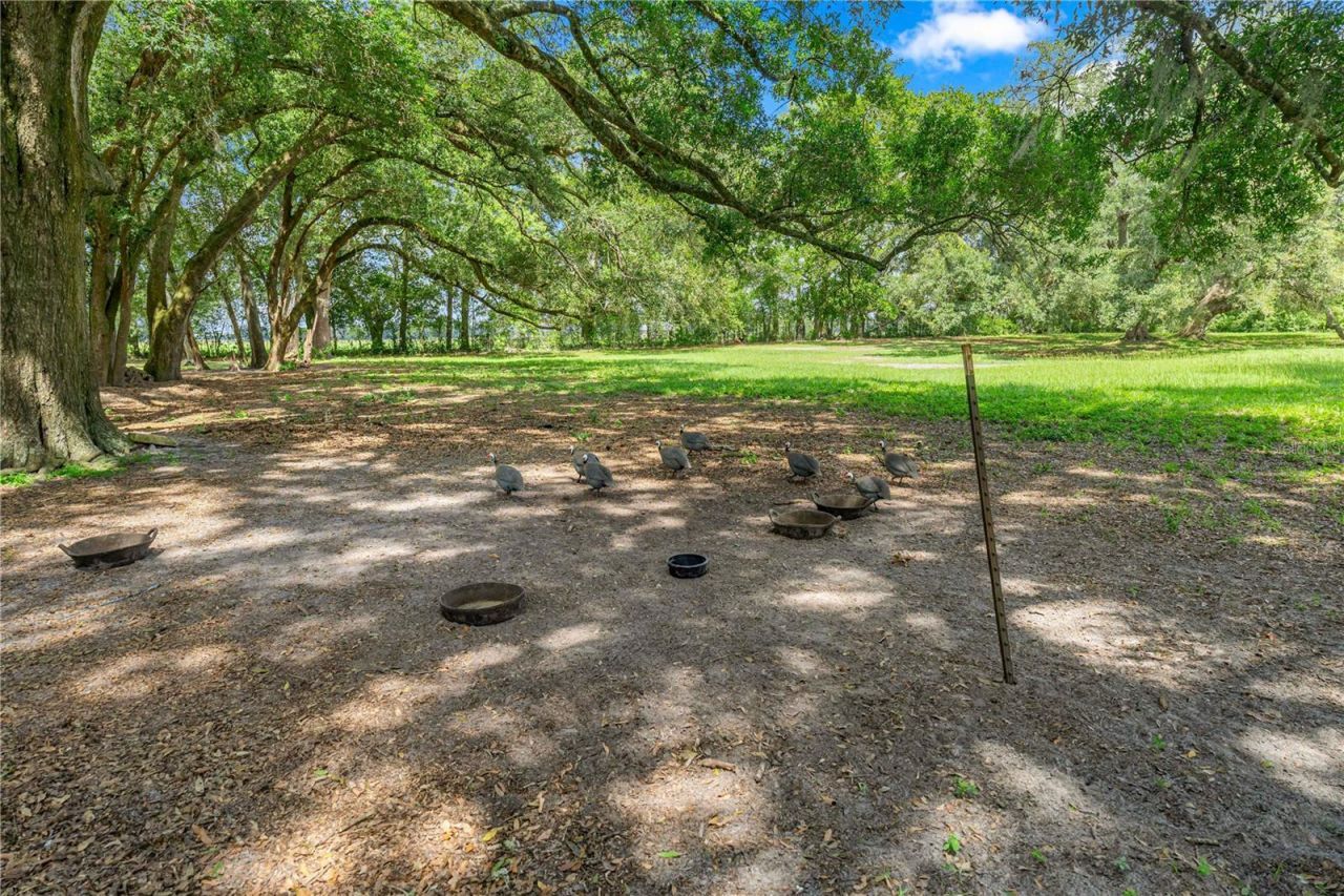1890 NW 167th Place , Trenton, FL 32693 Photo