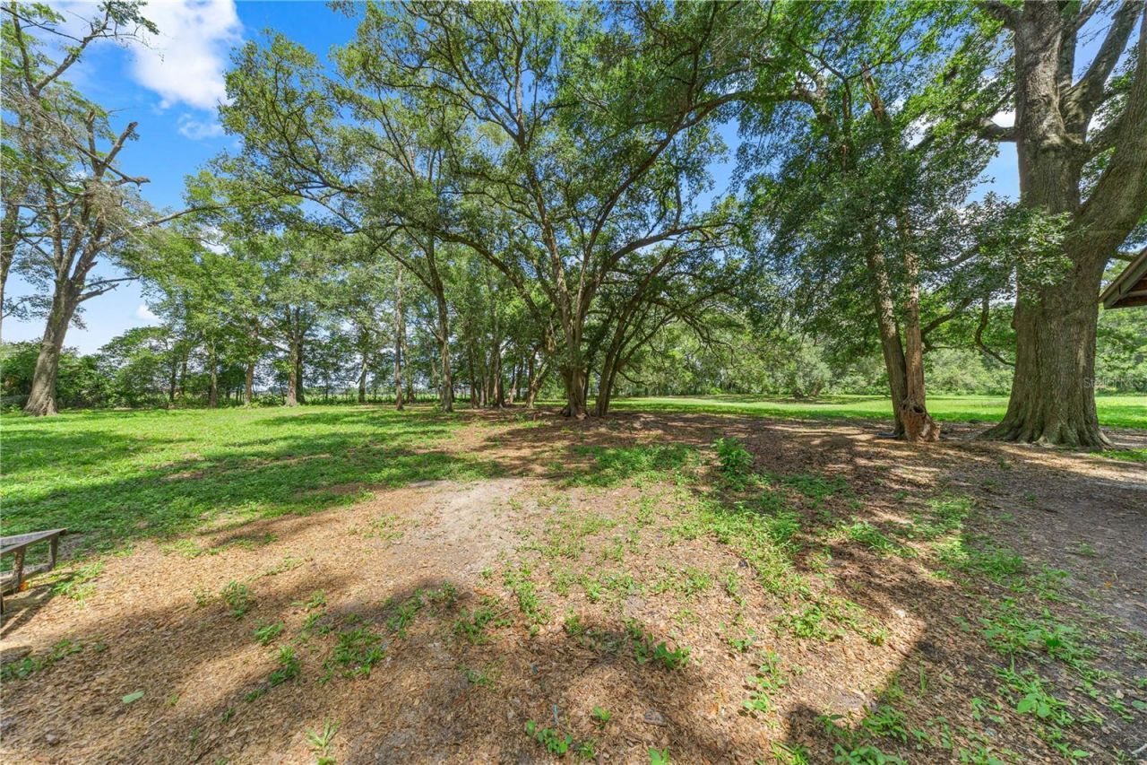 1890 NW 167th Place , Trenton, FL 32693 Photo