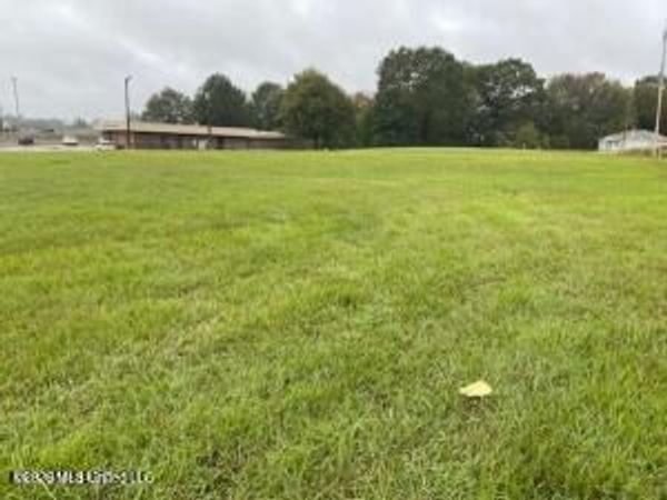 Scott Street, Senatobia, MS 38668