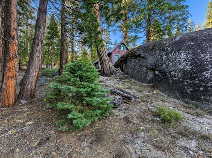 24 39 Milestone Trail, Kyburz, CA 95720 Photo