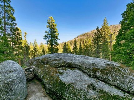 24 39 Milestone Trail, Kyburz, CA 95720 Photo