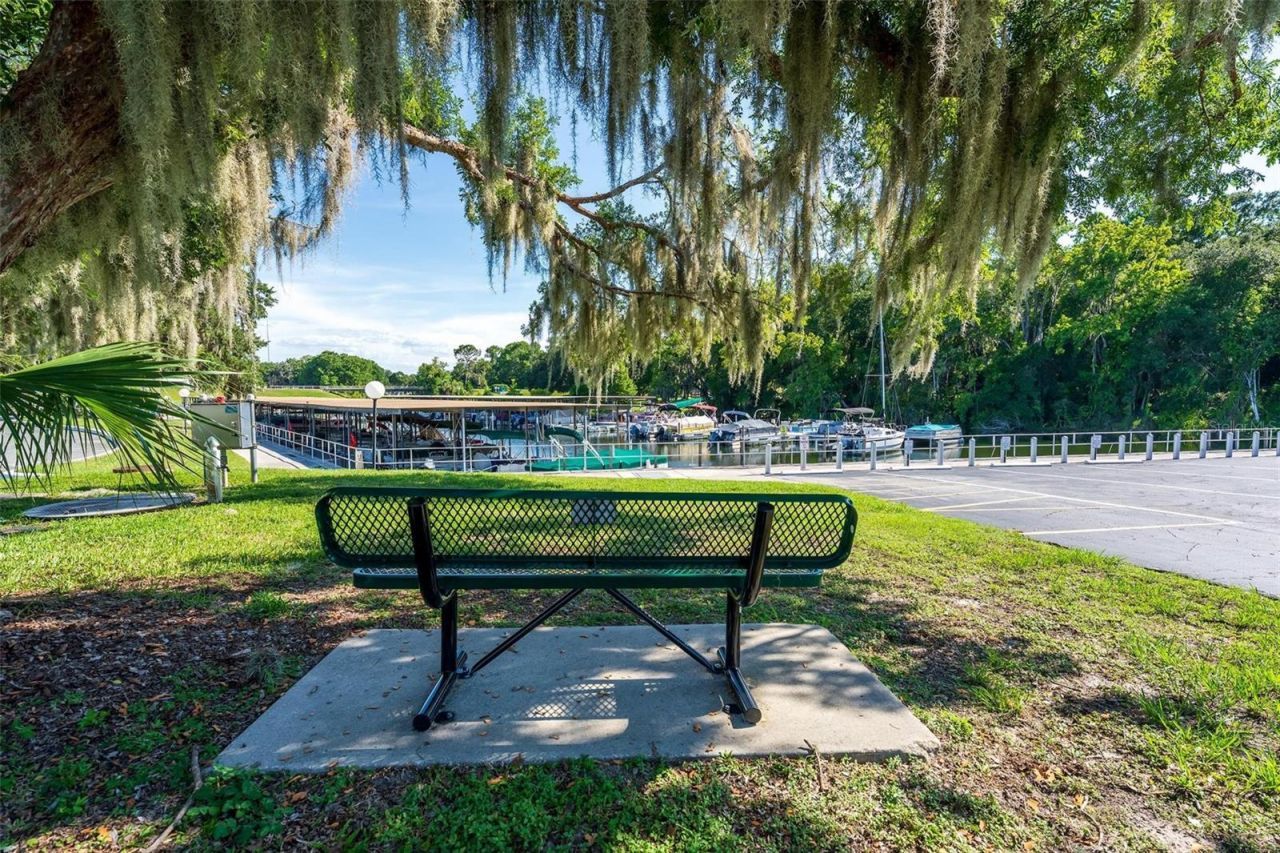 141 Azalea Trail , Leesburg, FL 34748 Photo