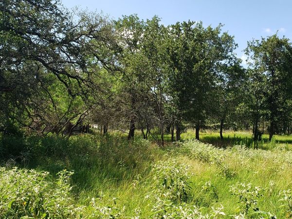 111 FLORES OAKS DR, Floresville, TX 78114