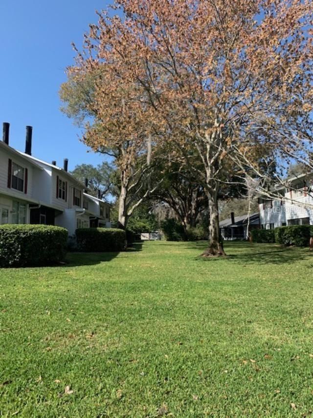 5184 Lazy Oaks Drive , Winter Park, FL 32792 Photo