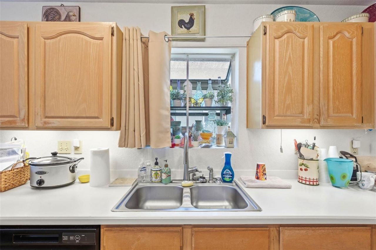1469 Riverdale Drive , Oldsmar, FL 34677 Photo