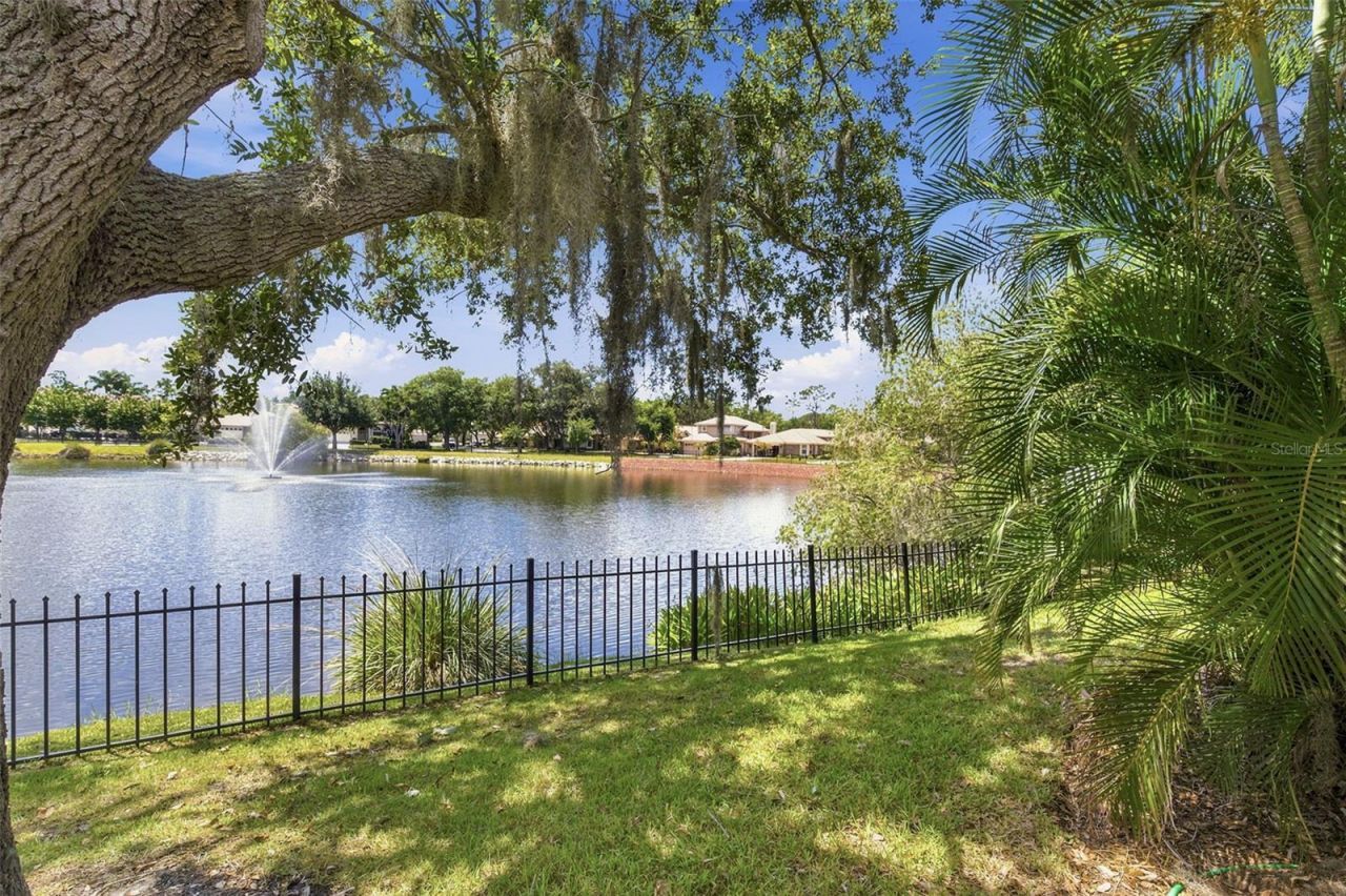 1469 Riverdale Drive , Oldsmar, FL 34677 Photo