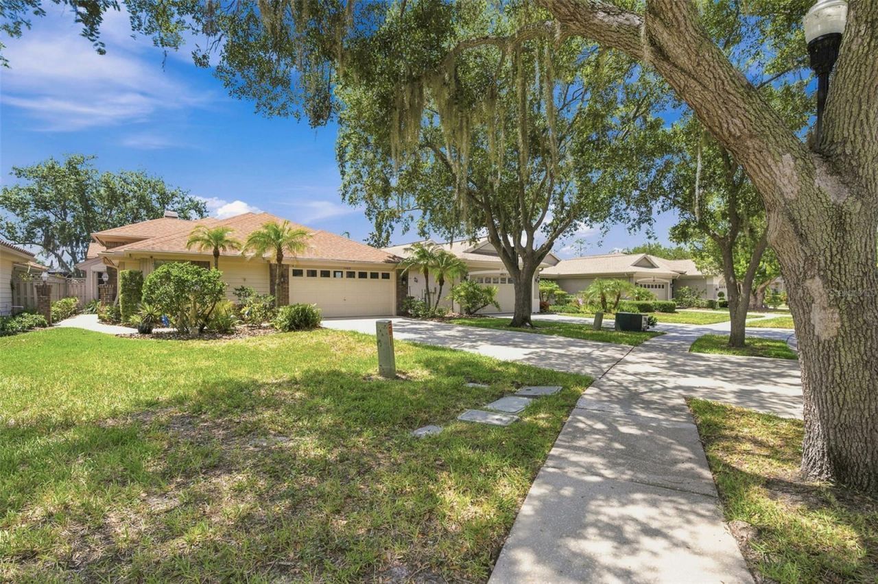 1469 Riverdale Drive , Oldsmar, FL 34677 Photo