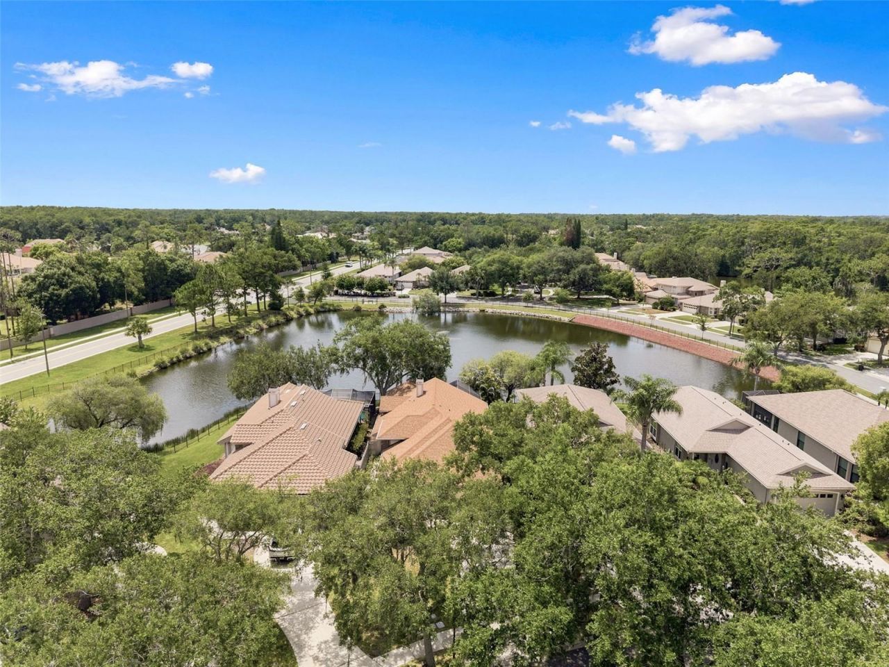 1469 Riverdale Drive , Oldsmar, FL 34677 Photo