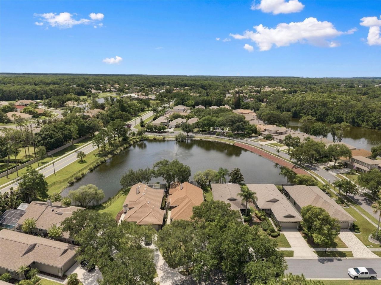 1469 Riverdale Drive , Oldsmar, FL 34677 Photo
