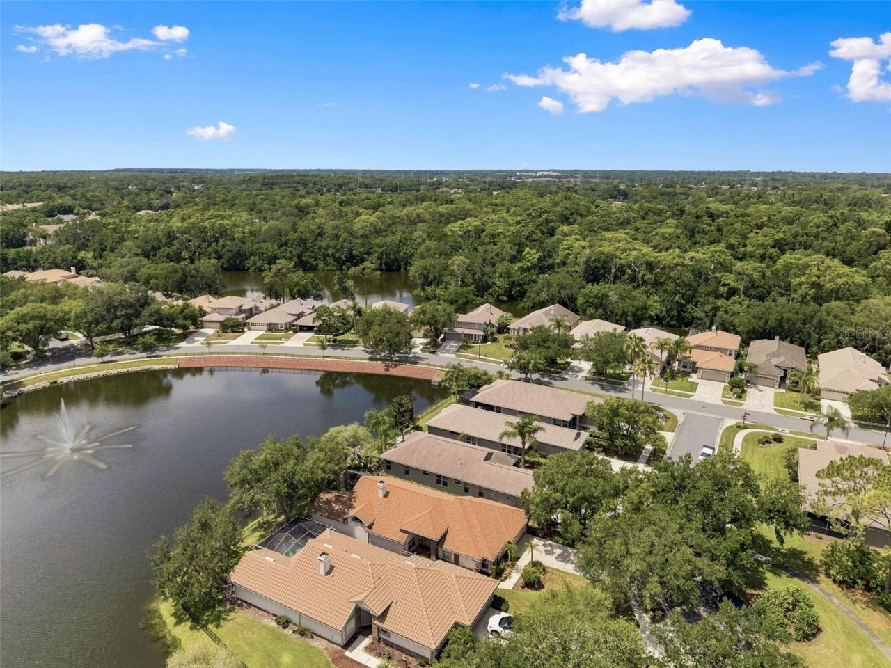 1469 Riverdale Drive , Oldsmar, FL 34677 Photo