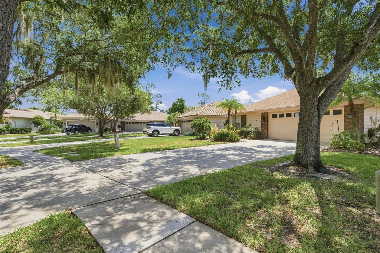 1469 Riverdale Drive , Oldsmar, FL 34677 Photo