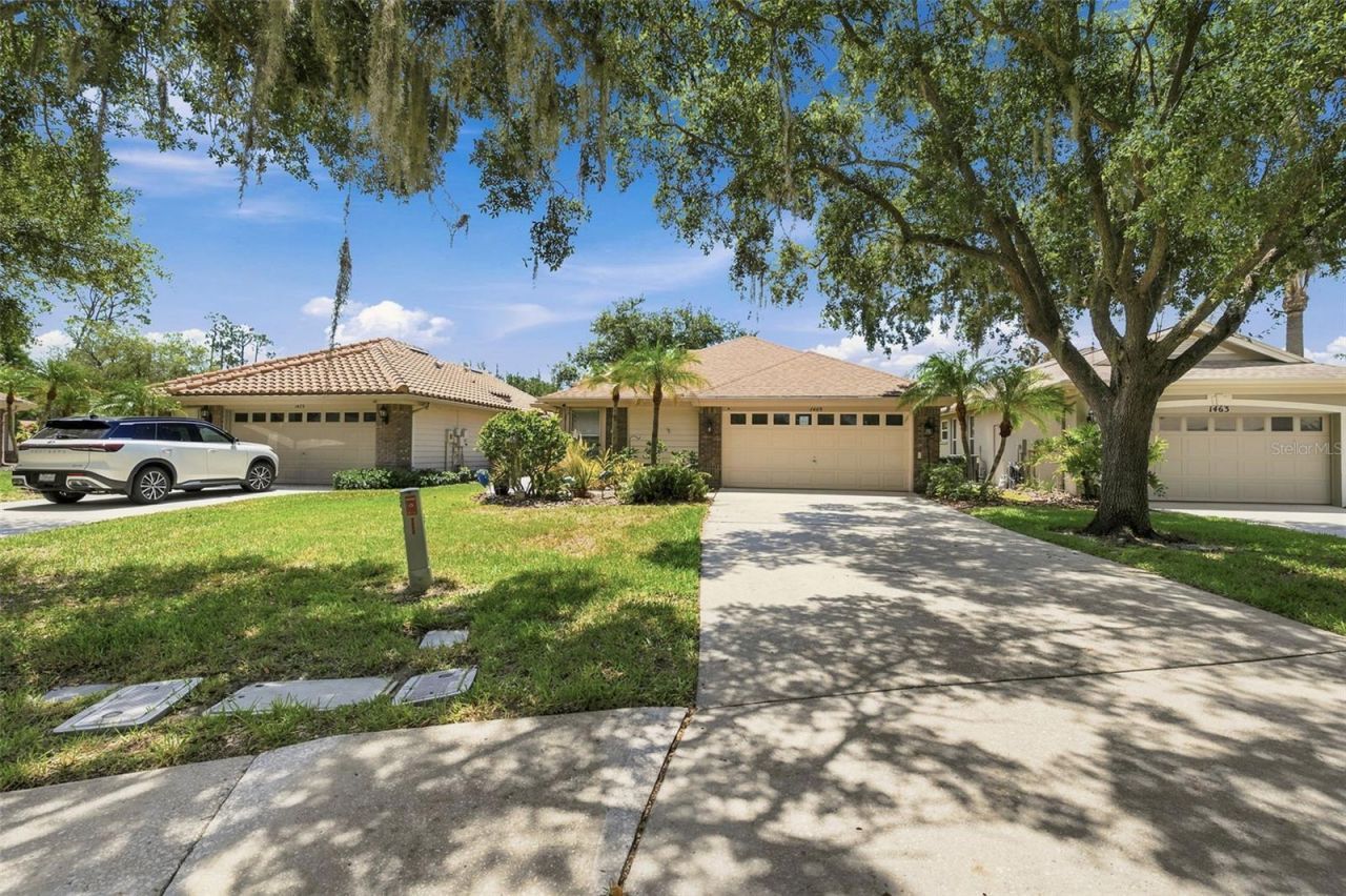1469 Riverdale Drive , Oldsmar, FL 34677 Photo