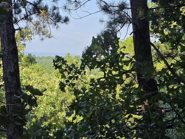 334 C Bar C Road, Booneville, AR 72927