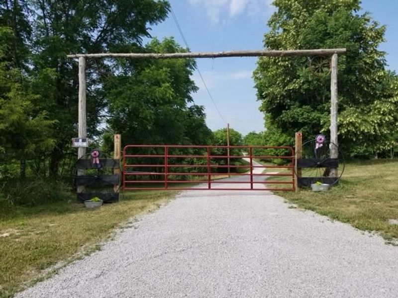 139 Old Pinhook Road, Mount Olivet, KY 41064 Photo 46