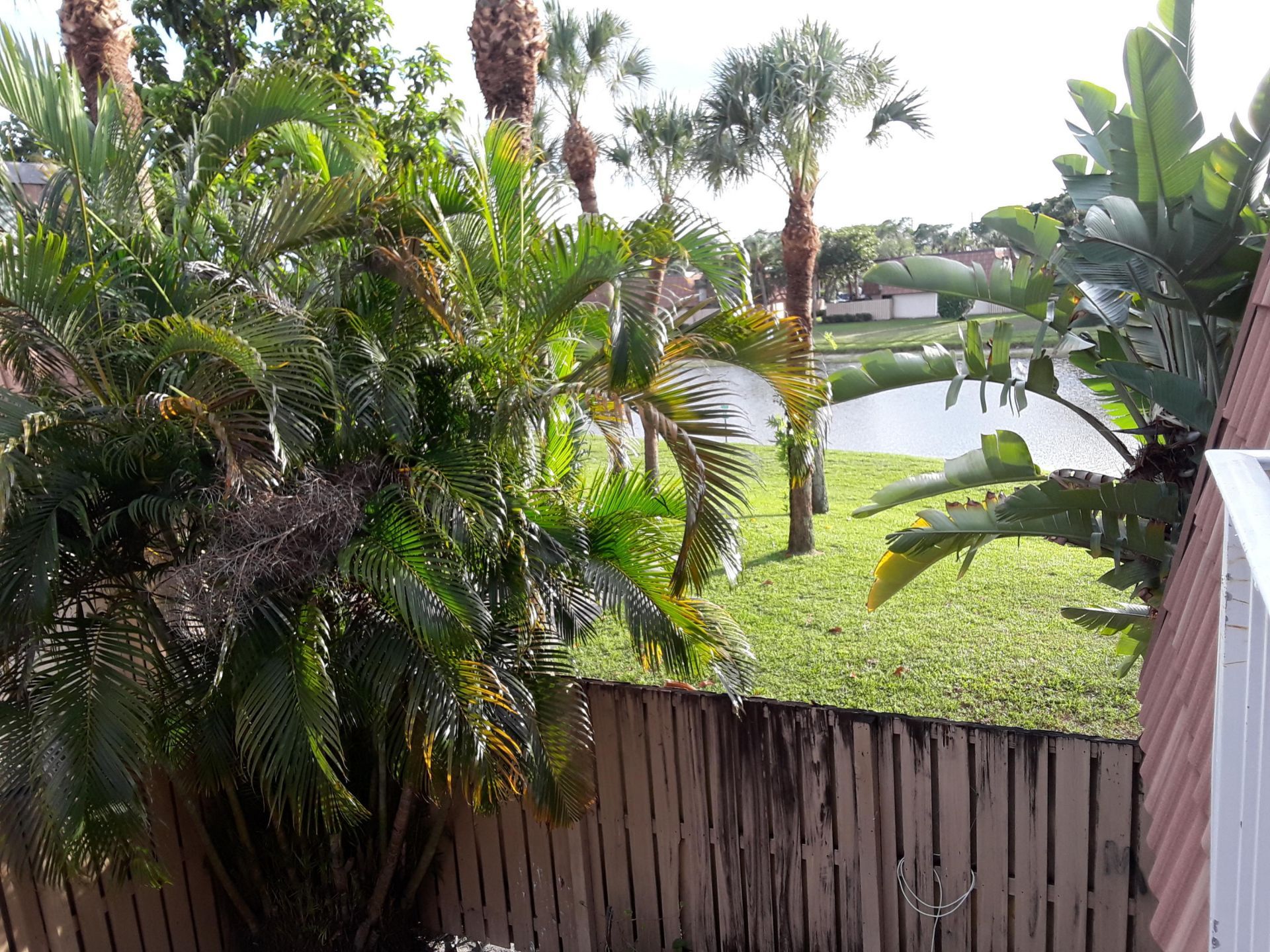 729 Mill Valley Place, West Palm Beach, FL 33409 Photo