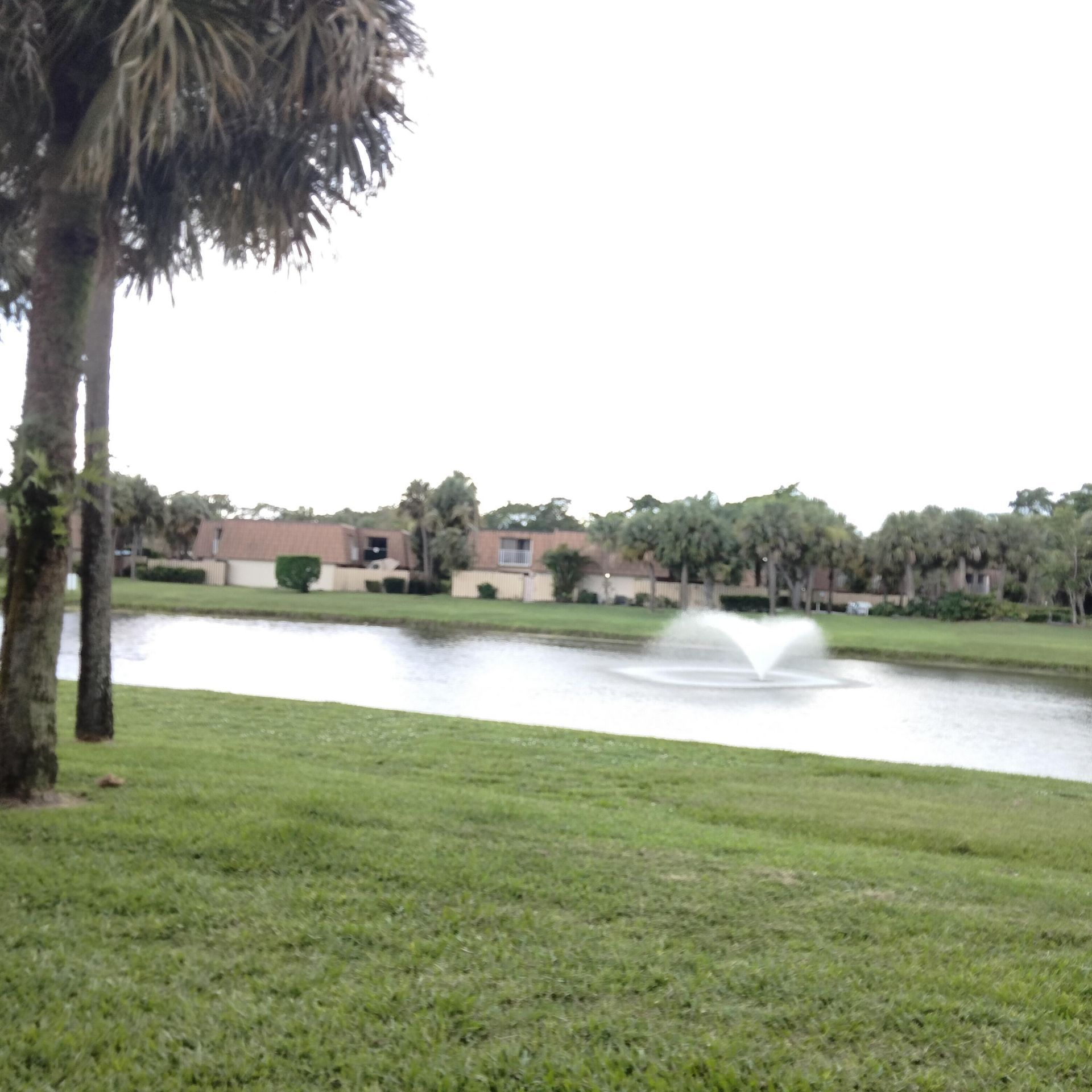 729 Mill Valley Place, West Palm Beach, FL 33409 Photo