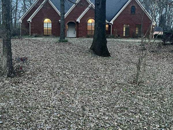 207 Shady Lane Cove, Hernando, MS 38632