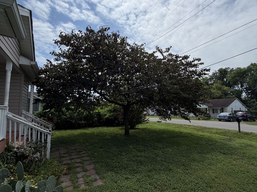 Property Image 33