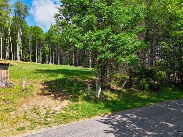 TBD Dogwood LN SW, Willis, VA 24380