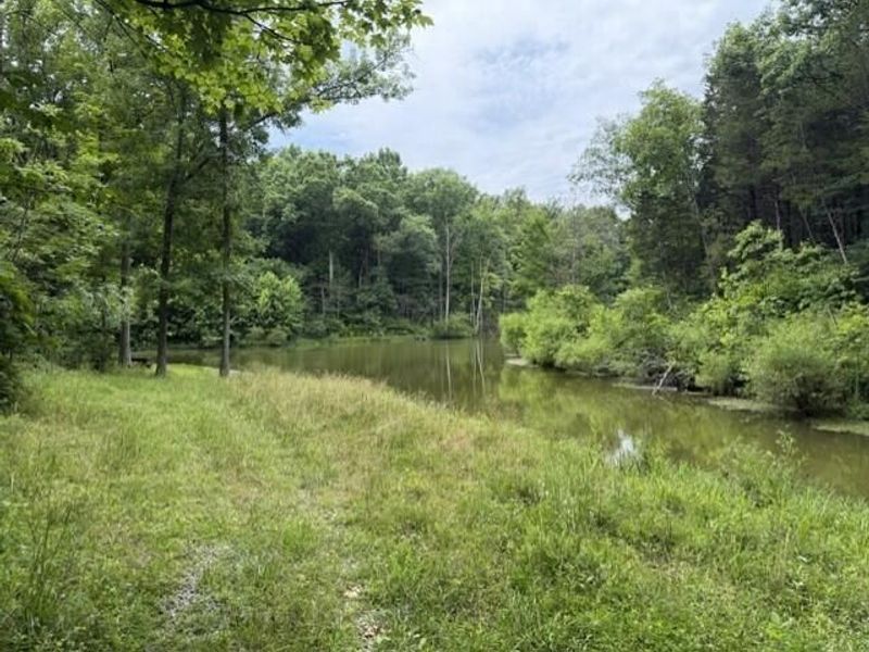 0 Pea Ridge Road, Brooksville, KY 41004 Photo 10