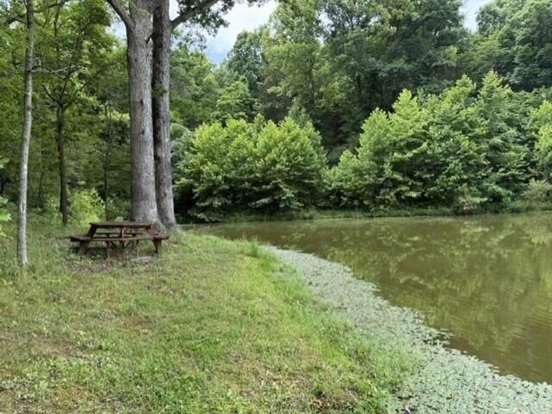 0 Pea Ridge Road, Brooksville, KY 41004 Photo 12
