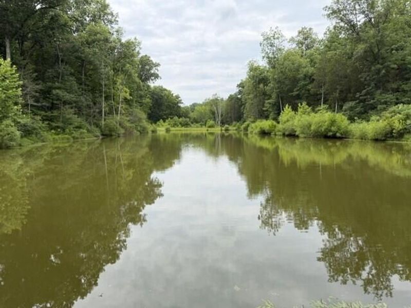 0 Pea Ridge Road, Brooksville, KY 41004 Photo 13
