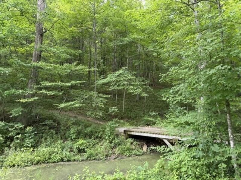 0 Pea Ridge Road, Brooksville, KY 41004 Photo 14