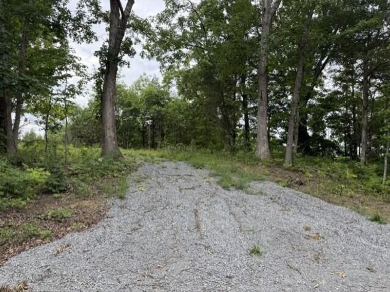 0 Pea Ridge Road, Brooksville, KY 41004 Photo 16
