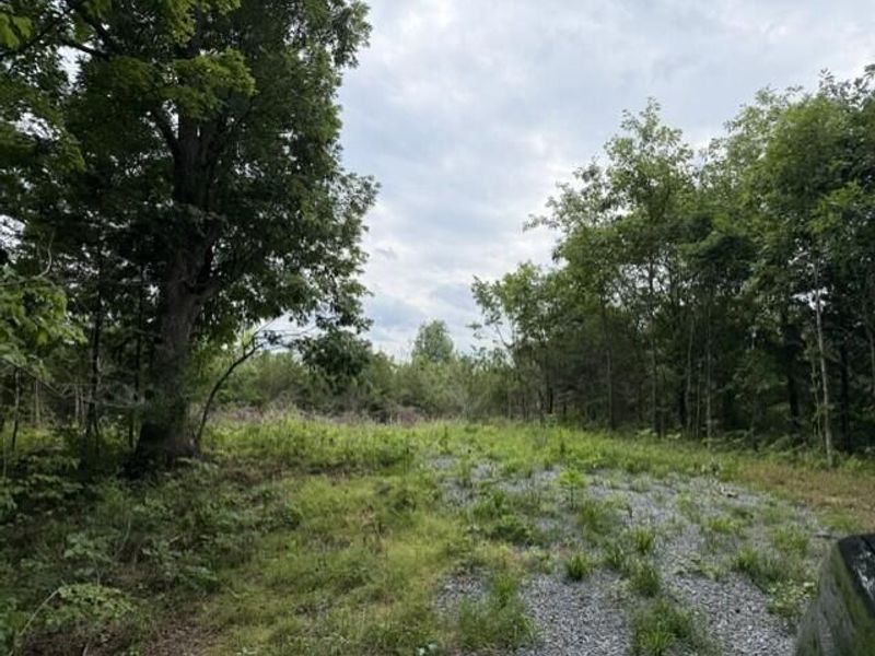 0 Pea Ridge Road, Brooksville, KY 41004 Photo 17