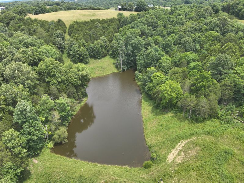 0 Pea Ridge Road, Brooksville, KY 41004 Photo 19