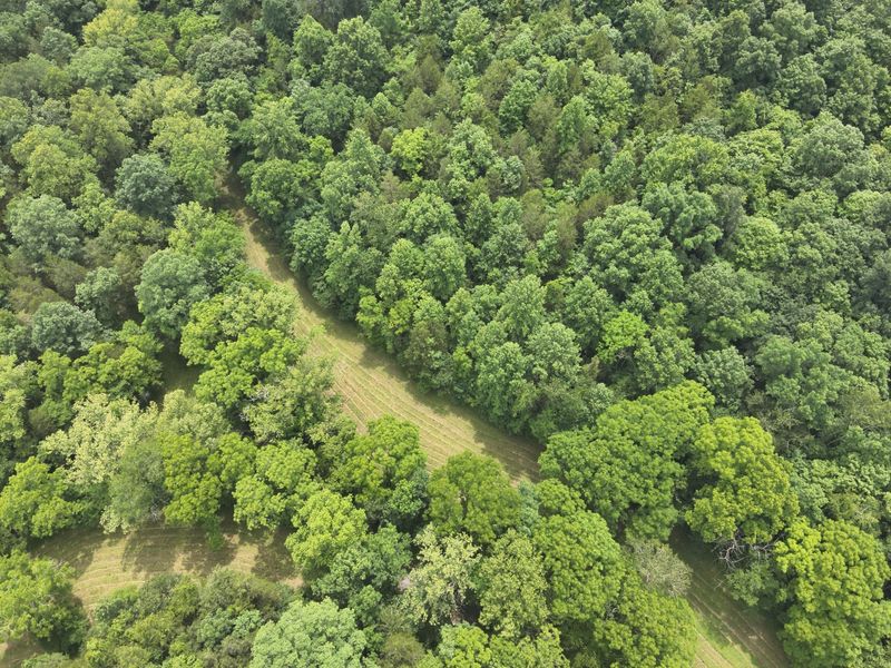 0 Pea Ridge Road, Brooksville, KY 41004 Photo 26