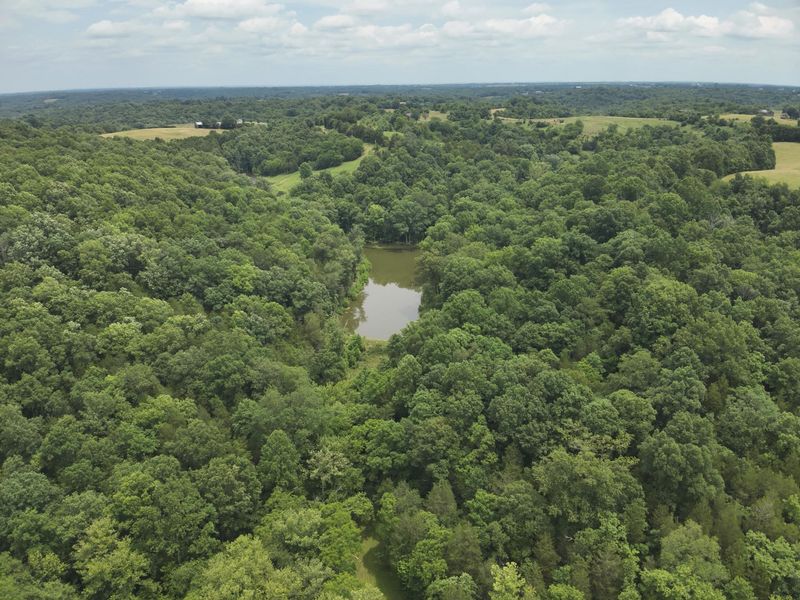 0 Pea Ridge Road, Brooksville, KY 41004 Photo 27