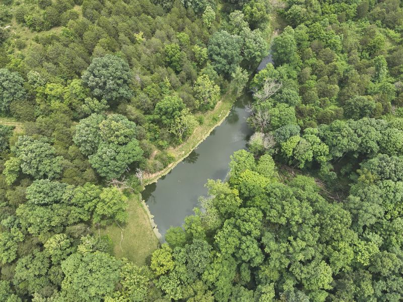 0 Pea Ridge Road, Brooksville, KY 41004 Photo 29