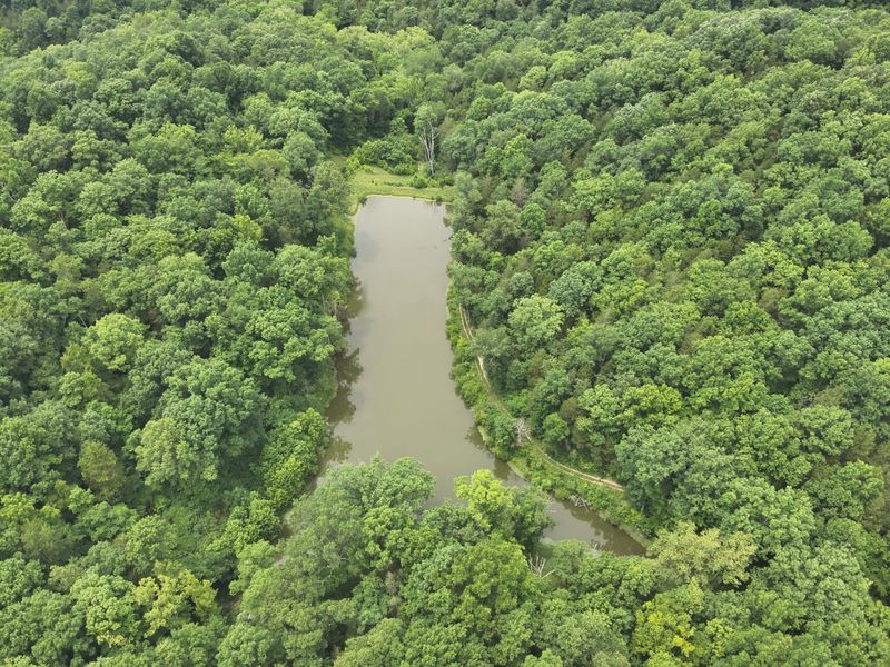 0 Pea Ridge Road, Brooksville, KY 41004 Photo 32