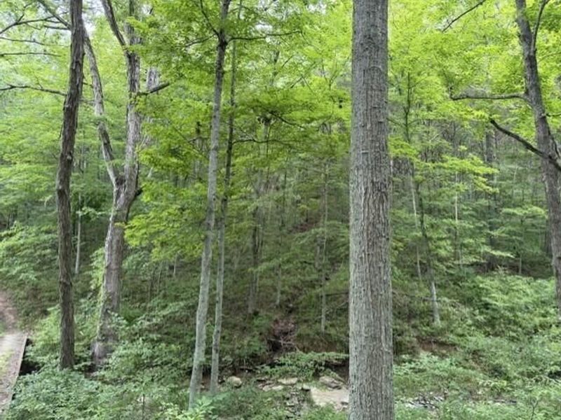 0 Pea Ridge Road, Brooksville, KY 41004 Photo 34