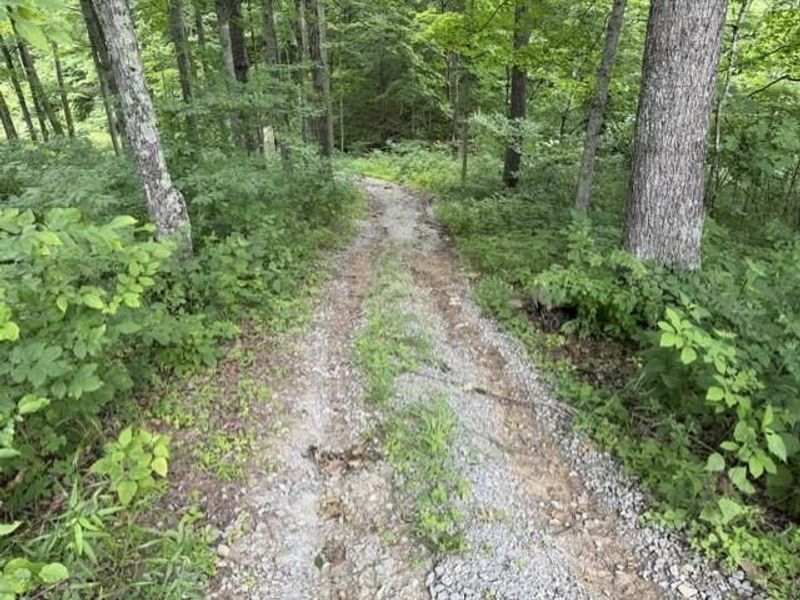 0 Pea Ridge Road, Brooksville, KY 41004 Photo 35