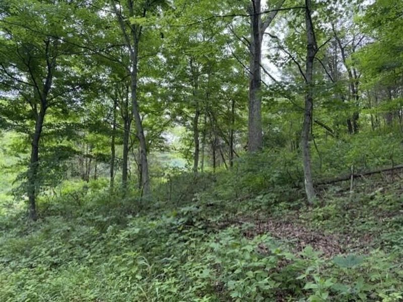 0 Pea Ridge Road, Brooksville, KY 41004 Photo 36