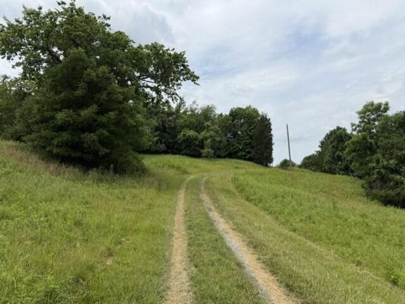 0 Pea Ridge Road, Brooksville, KY 41004 Photo 38