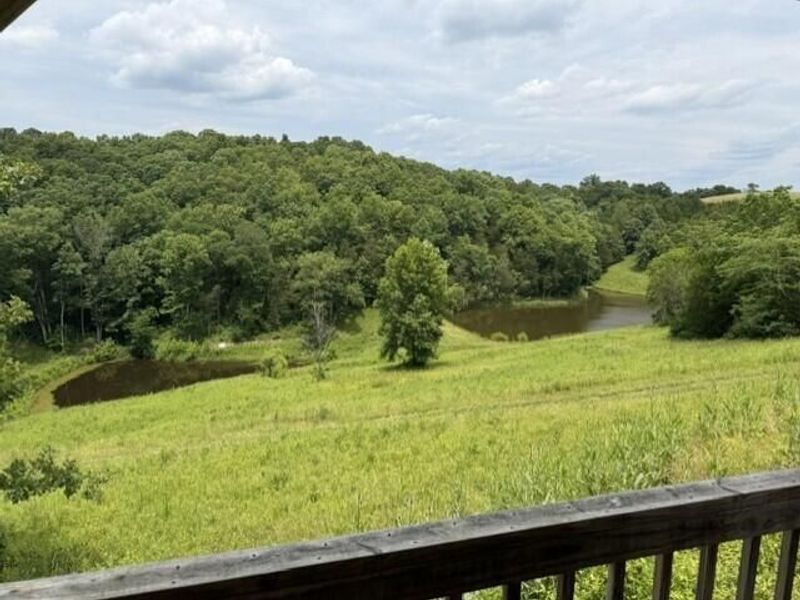 0 Pea Ridge Road, Brooksville, KY 41004 Photo 6