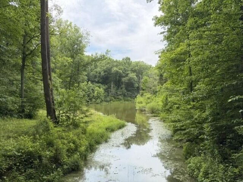 0 Pea Ridge Road, Brooksville, KY 41004 Photo 9