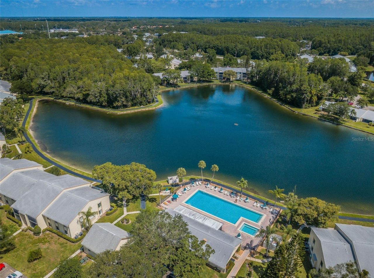 1333 Shady Pine Way , Unit F, Tarpon Springs, FL 34688 Photo