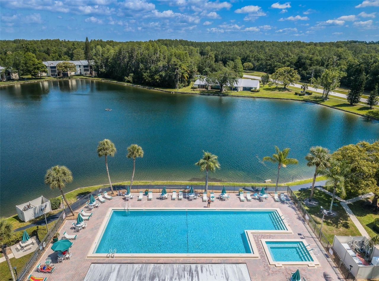 1333 Shady Pine Way , Unit F, Tarpon Springs, FL 34688 Photo