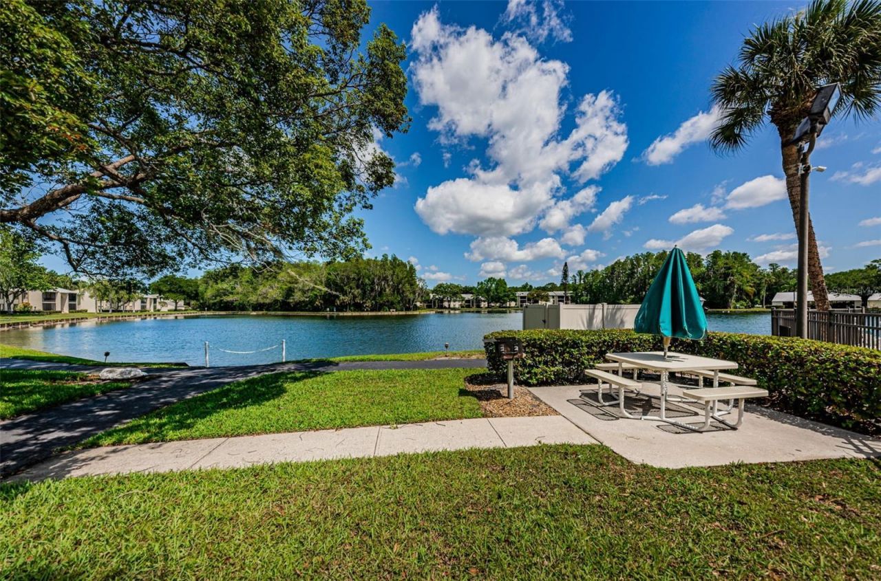 1333 Shady Pine Way , Unit F, Tarpon Springs, FL 34688 Photo