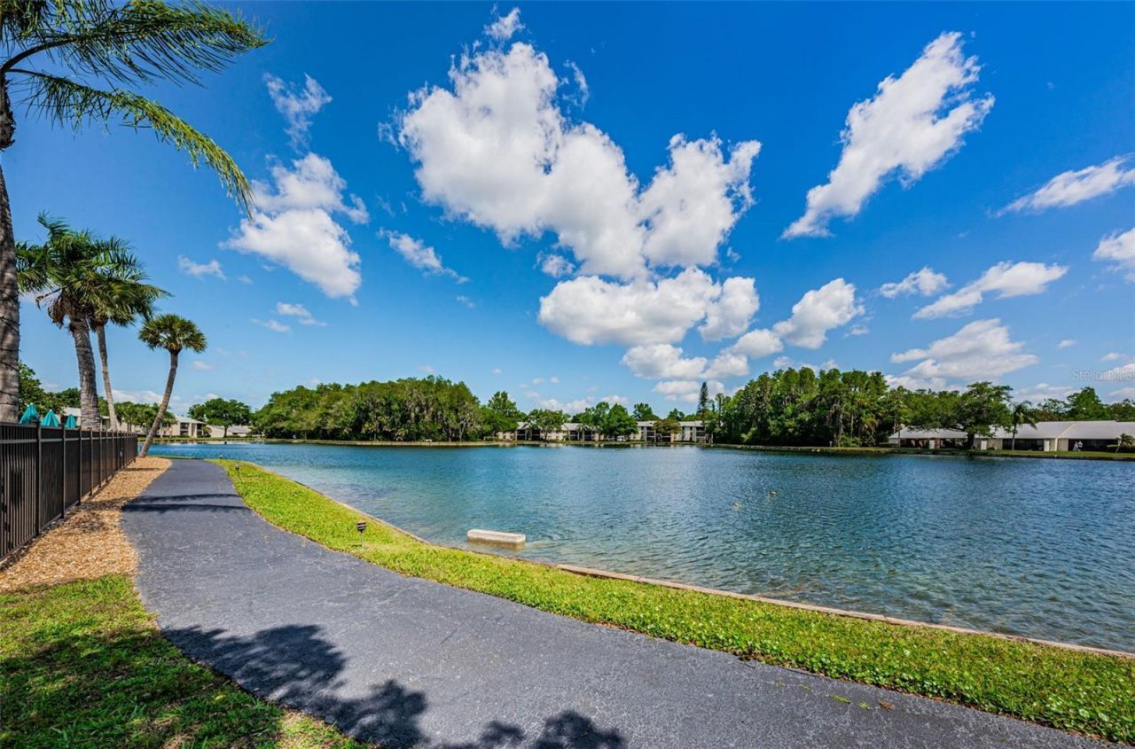 1333 Shady Pine Way , Unit F, Tarpon Springs, FL 34688 Photo