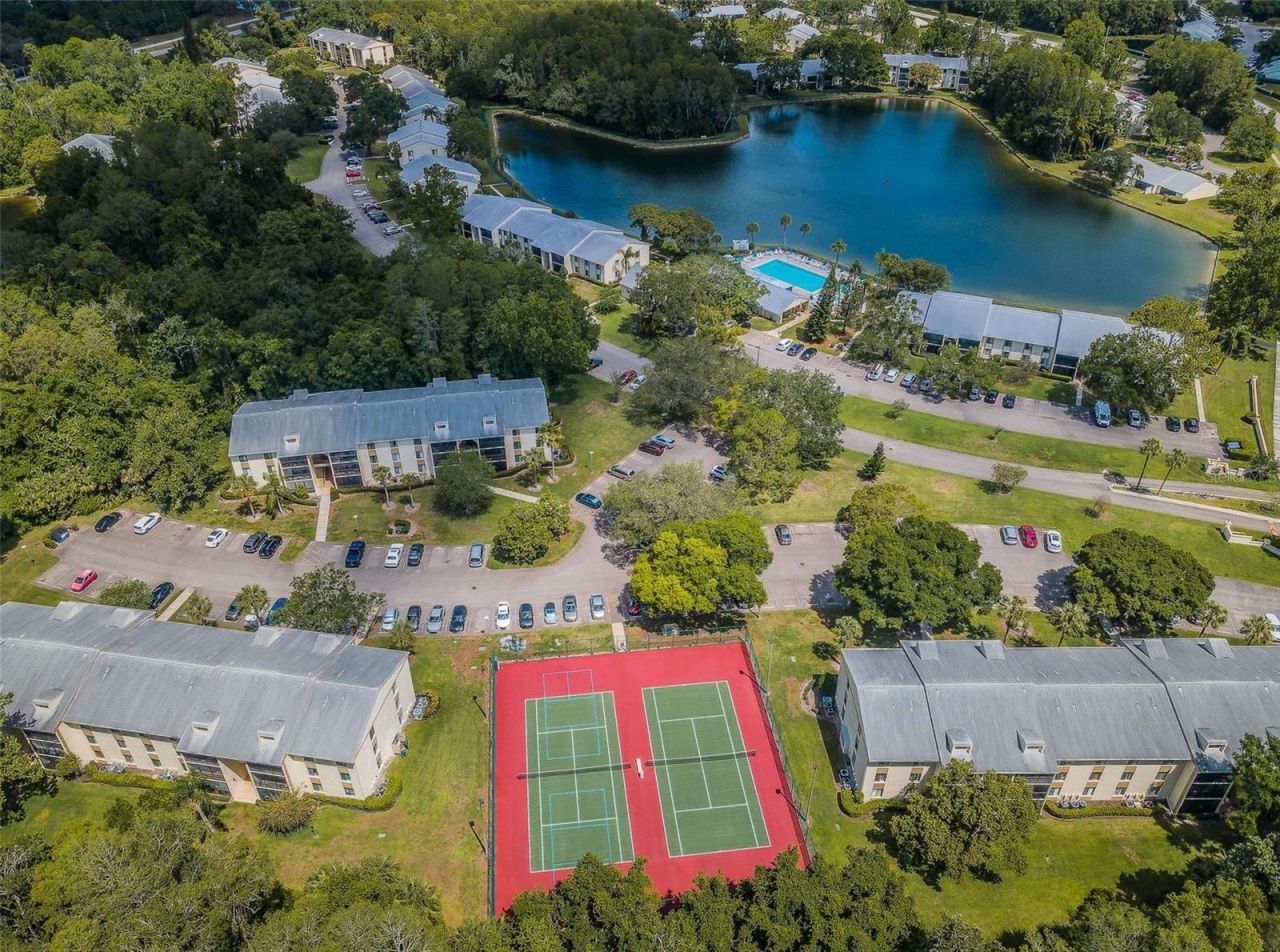 1333 Shady Pine Way , Unit F, Tarpon Springs, FL 34688 Photo