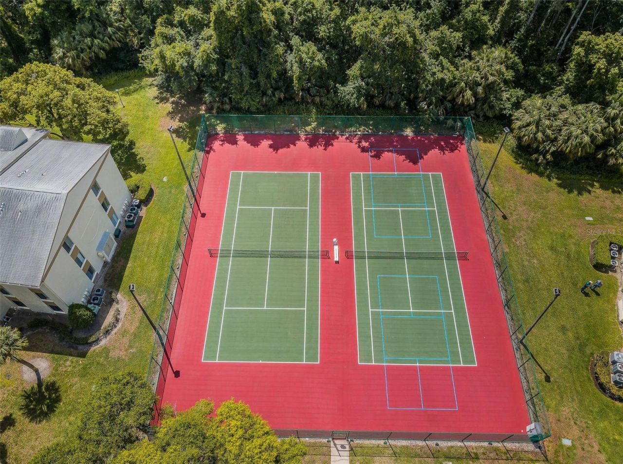 1333 Shady Pine Way , Unit F, Tarpon Springs, FL 34688 Photo
