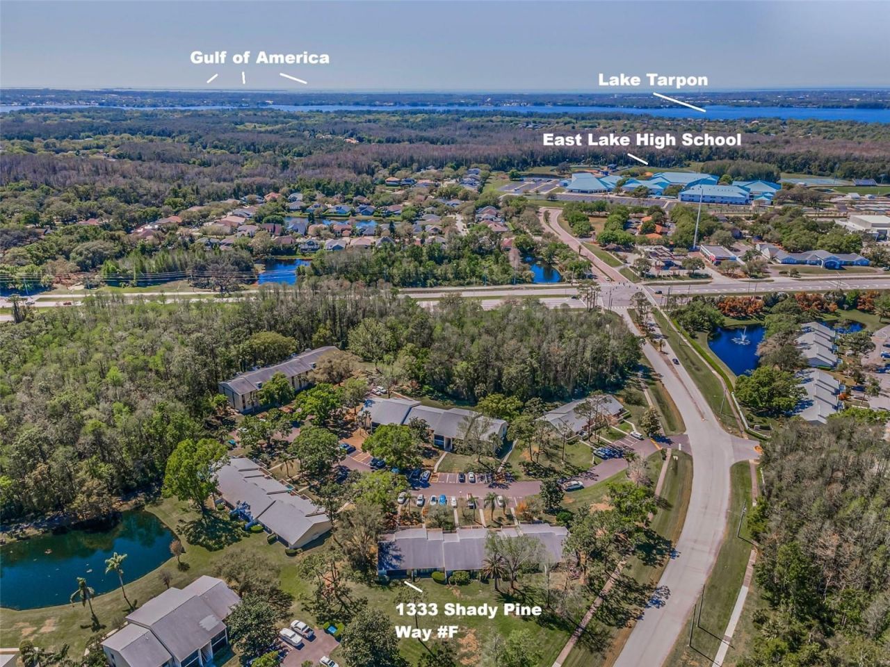 1333 Shady Pine Way , Unit F, Tarpon Springs, FL 34688 Photo