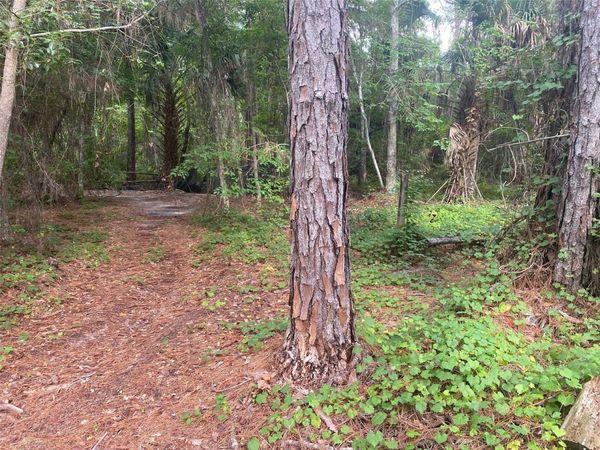 709 GEORGETOWN DENVER ROAD , CRESCENT CITY, FL 32112